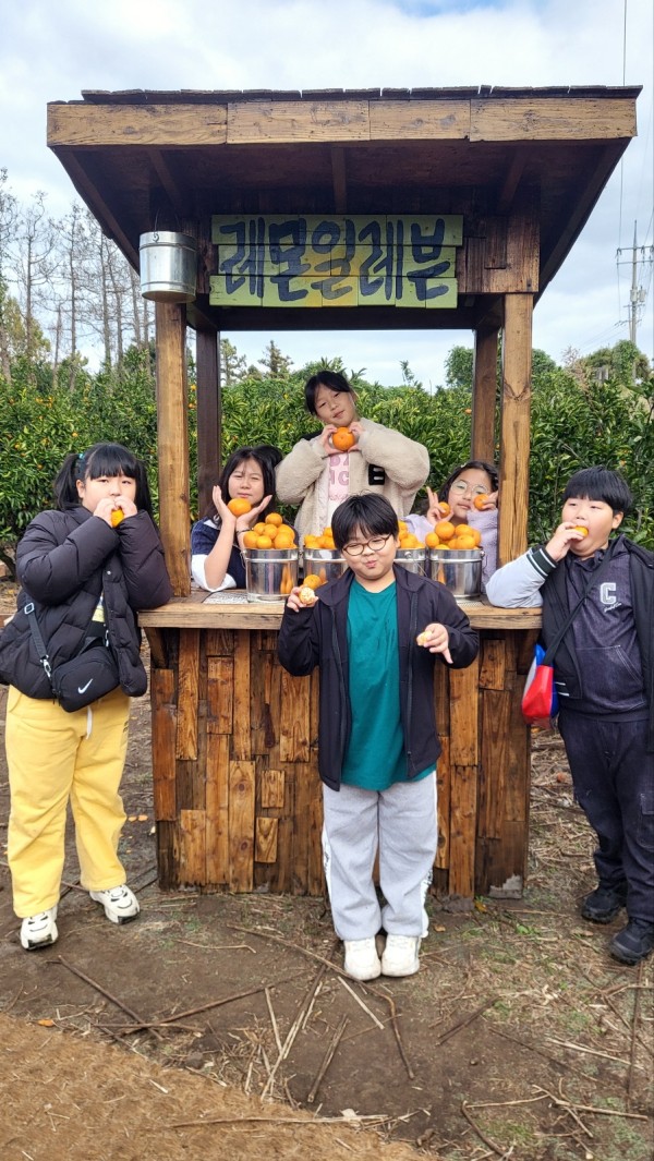 120c43645a0143de4a60eb952ddf6e3c_1774326752_2617.jpg